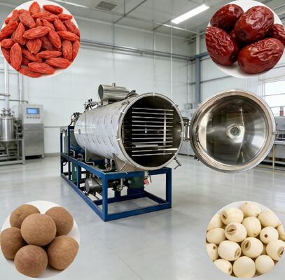 System sterowania PLC, maszyna do suszenia sublimacyjnego próżniowego oferująca rozmiar komory 12700 2600 3300 mm, idealna dla przemysłu farmaceutycznego, spożywczego i chemicznego