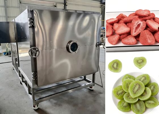 Vacuum Degree ≤10Pa Food Vacuum Freeze Dryer Featuring Baosi Or Bitzer Vacuum Pump Providing Freeze Drying for Food Industry