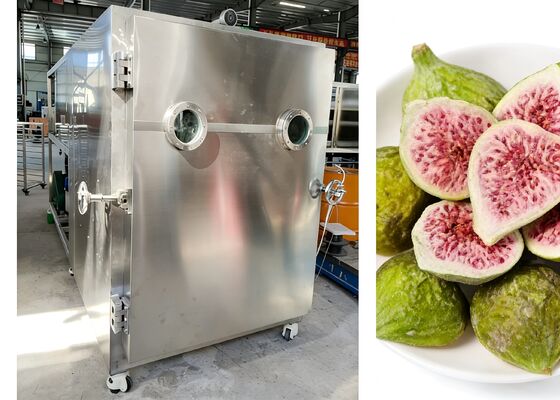 Suszarka sublimacyjna próżniowa do żywności 380V 50HZ 3PH ze stali nierdzewnej klasy spożywczej 304, zaprojektowana w celu zachowania świeżości żywności