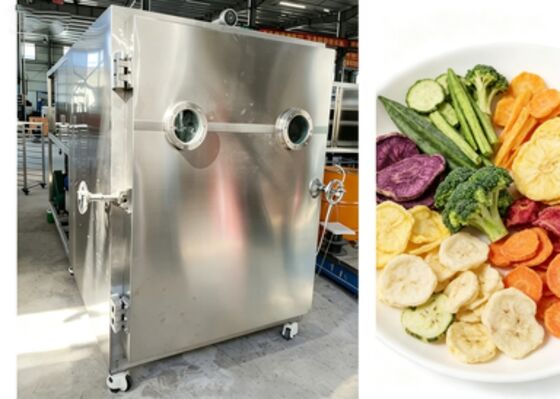 Voltage 380V50HZ3PH Food vacuum freeze dryer featuring robust construction and precise vacuum control for optimal drying
